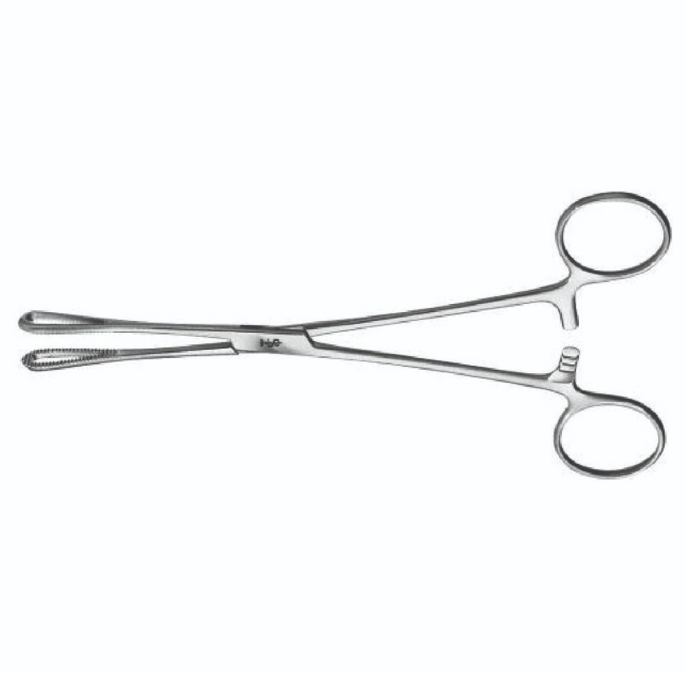 Veterinary Forceps Instruments