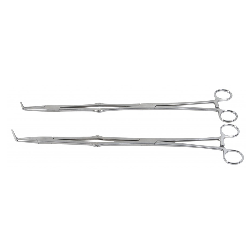 Veterinary Forceps Instruments