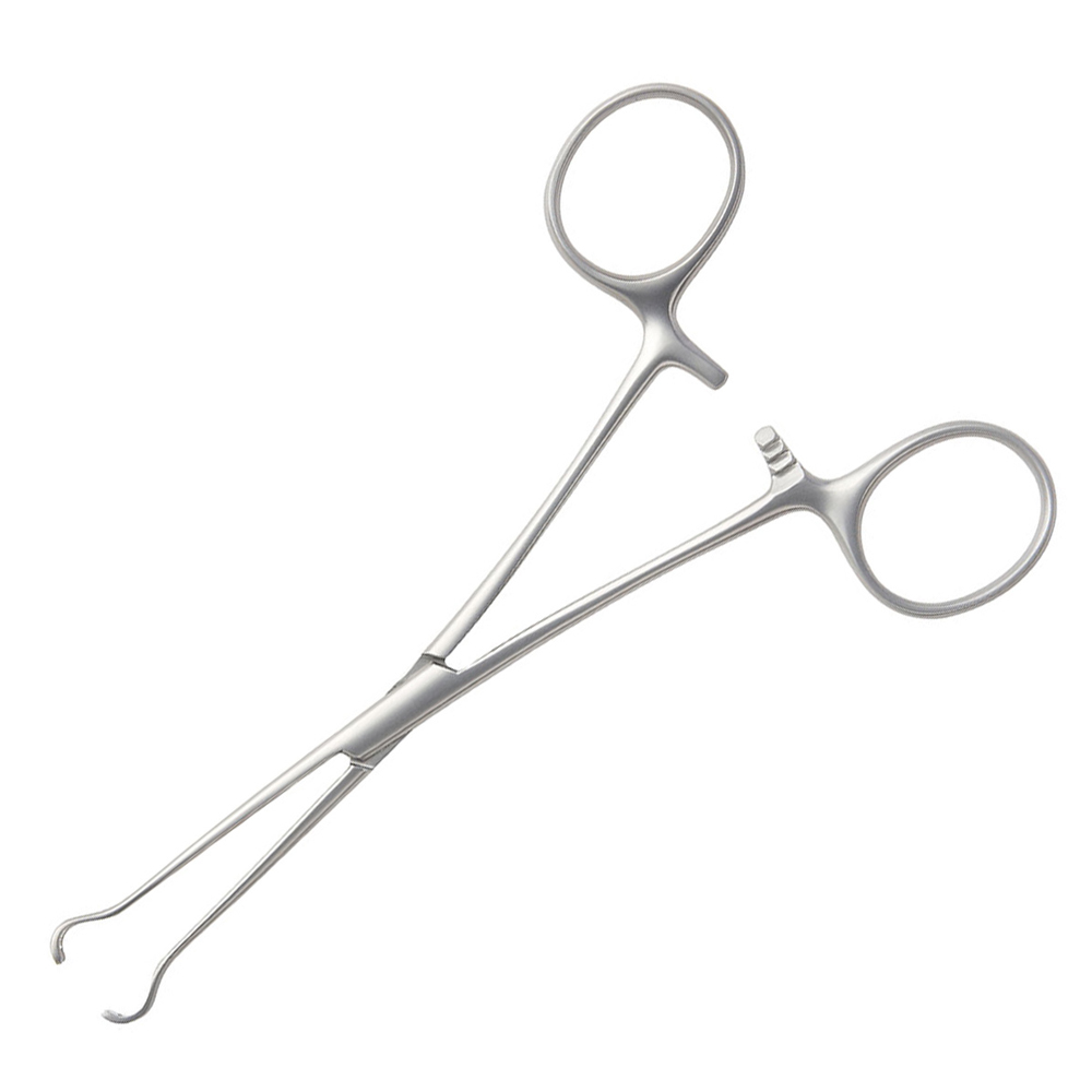 Veterinary Forceps Instruments